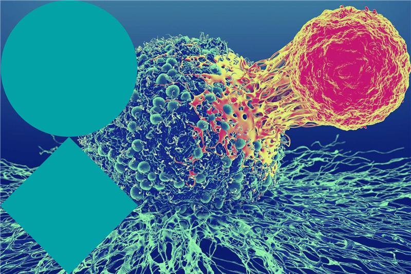 Type 2 immunity in homeostasis and disease (3rd edition)