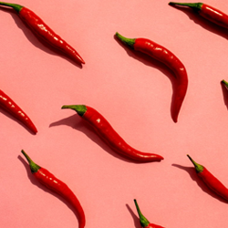 What makes red hot chili peppers so spicy?
