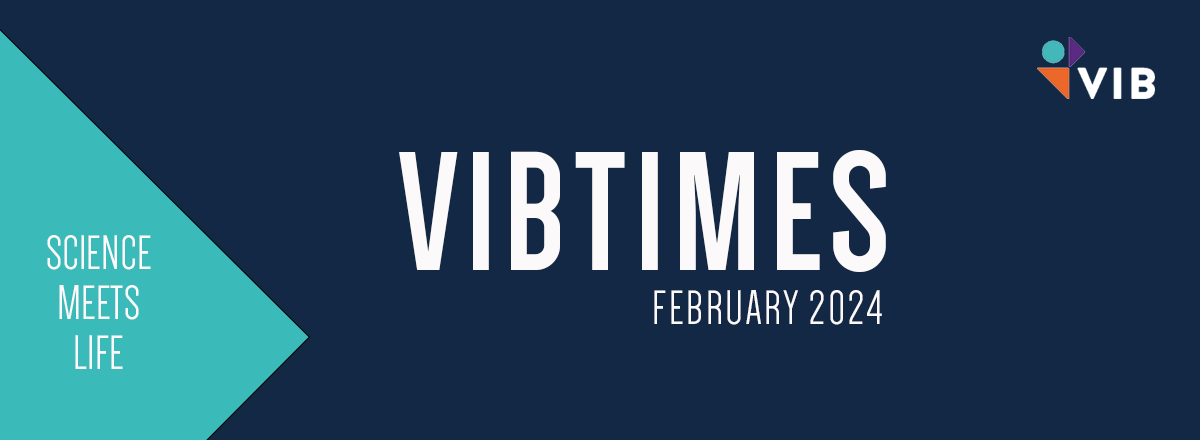 VIBTimes header
