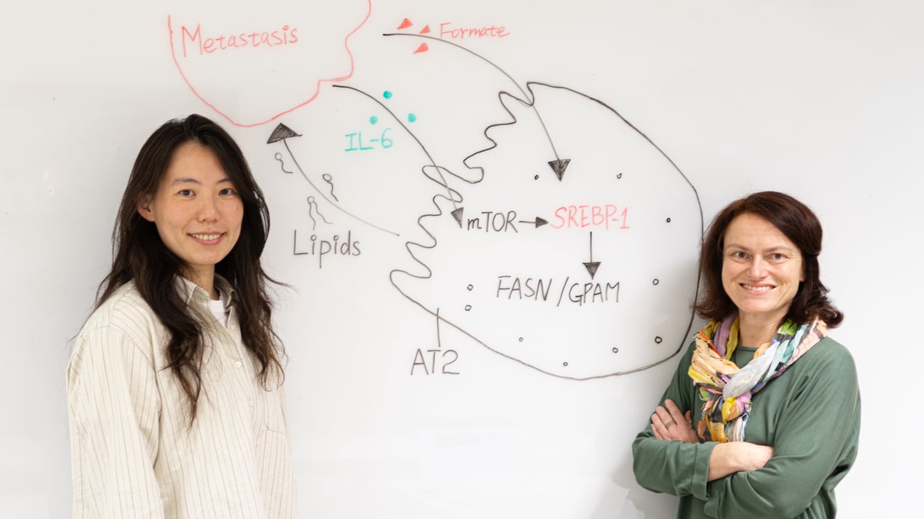 Dr. Xiao-Zheng Liu and Prof. Sarah-Maria Fendt Dr. Xiao-Zheng Liu and Prof. Sarah-Maria Fendt
